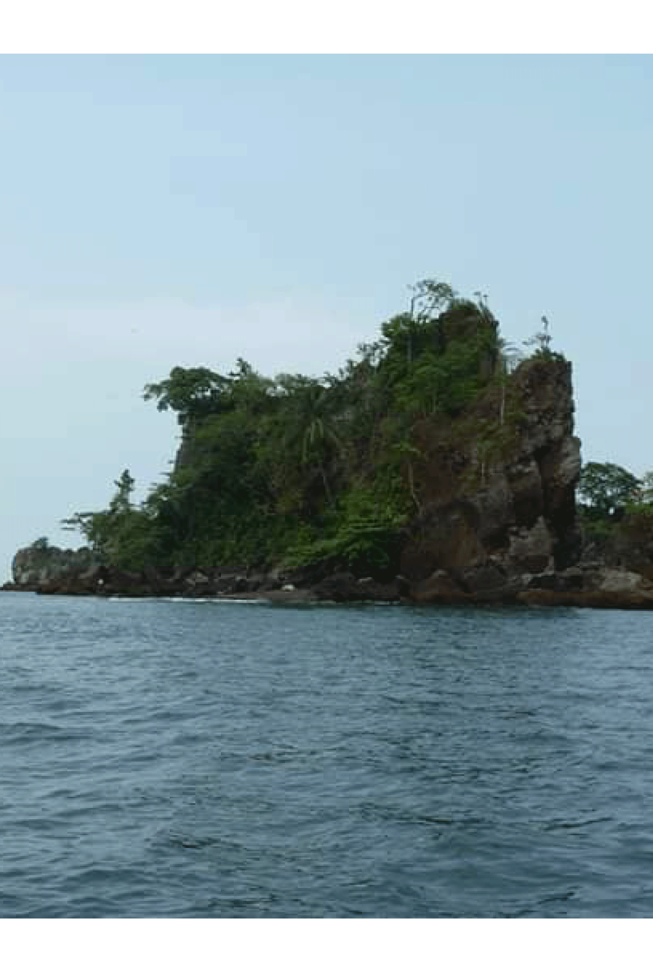 bota-island